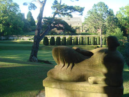Dartington Gardens